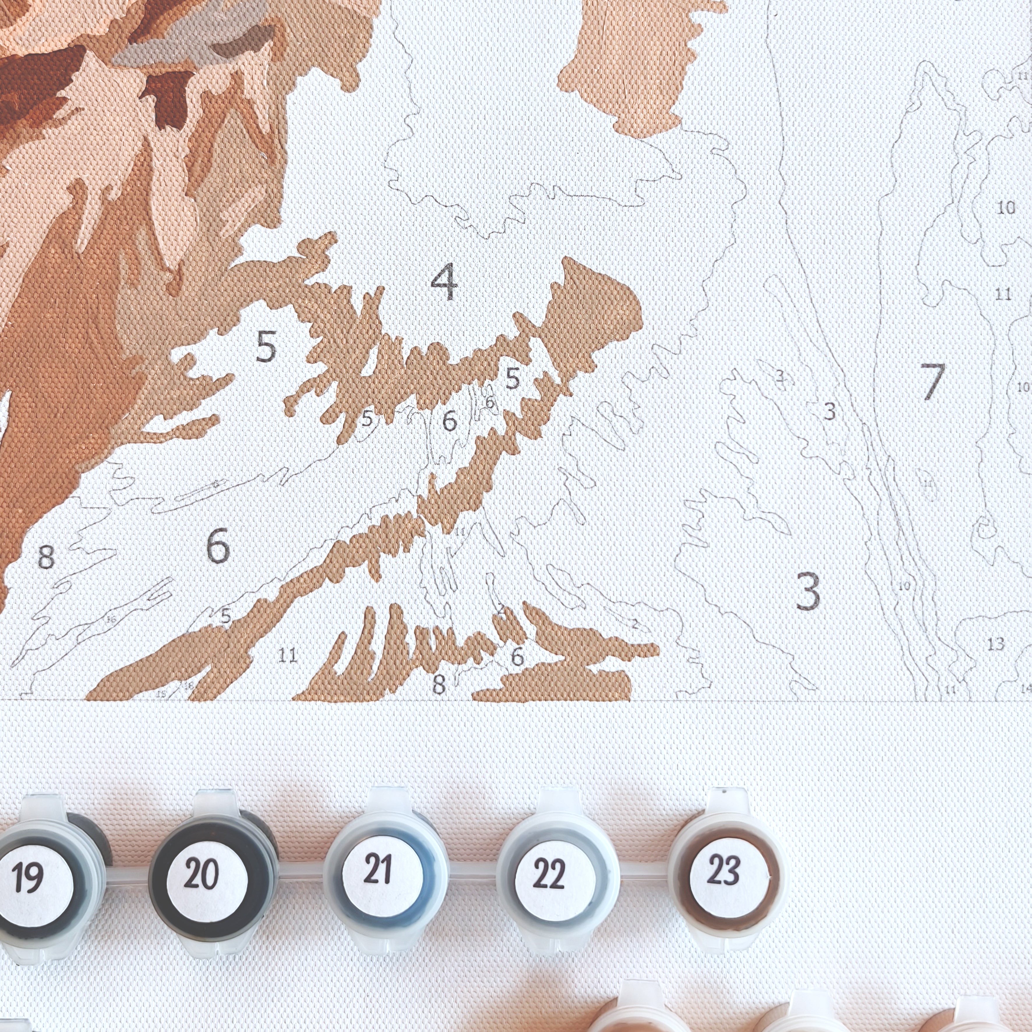 Custom Paint by Number Kit
