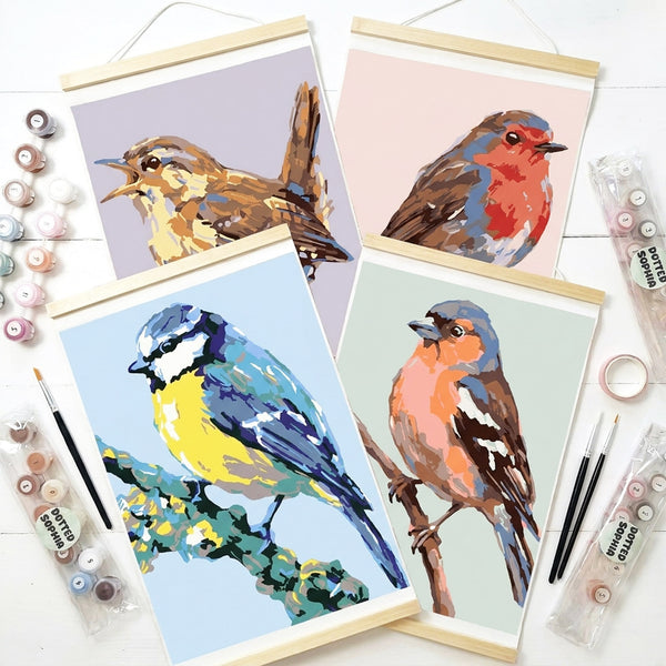 British Birds Bundle - Care Home Paint by Number Bundles