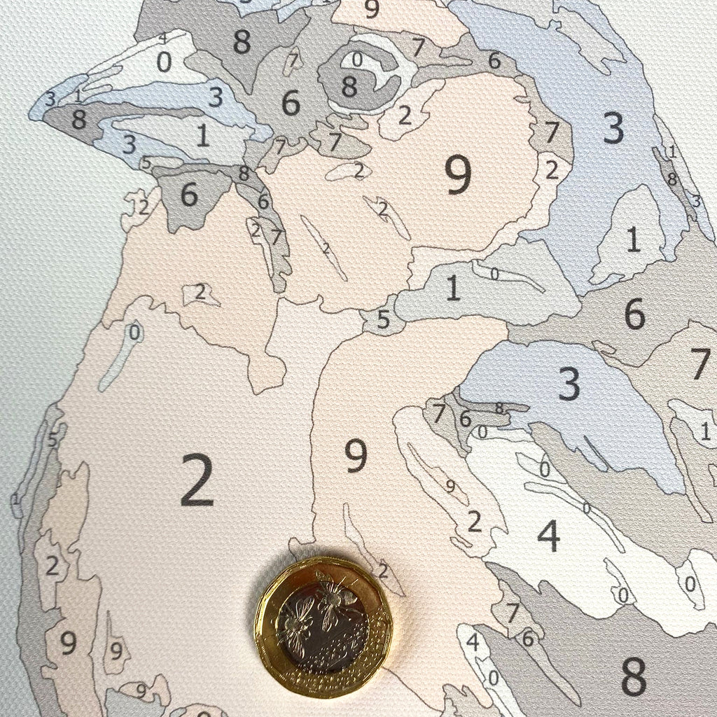 Tulips - Easy Care Home Paint by Number Bundles