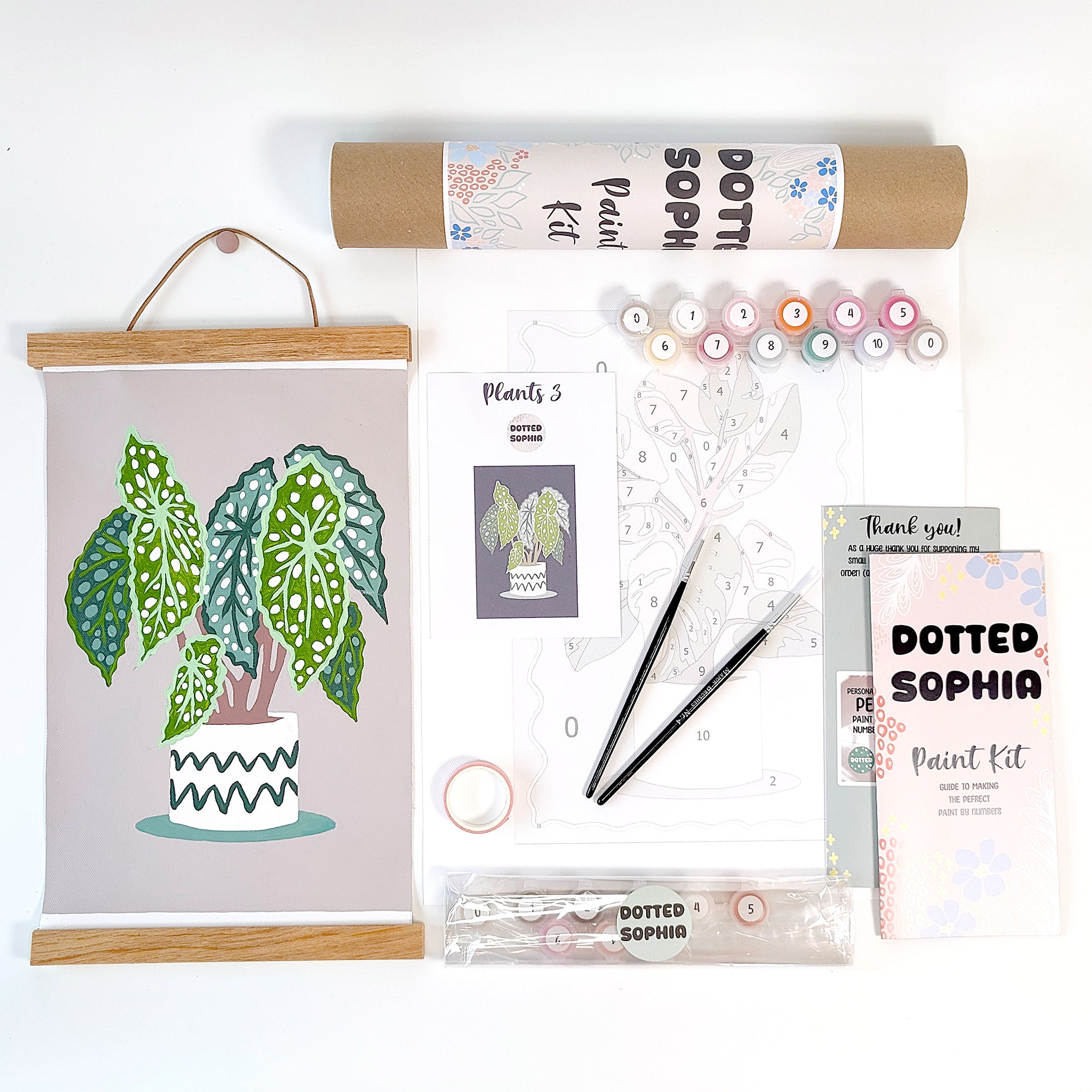 Spotted Leaf House Plant paint by number kit. Cosy hobby DIY art gift. Dotted sophia Mix and match bundle offers. Includes premixed paint and brushes