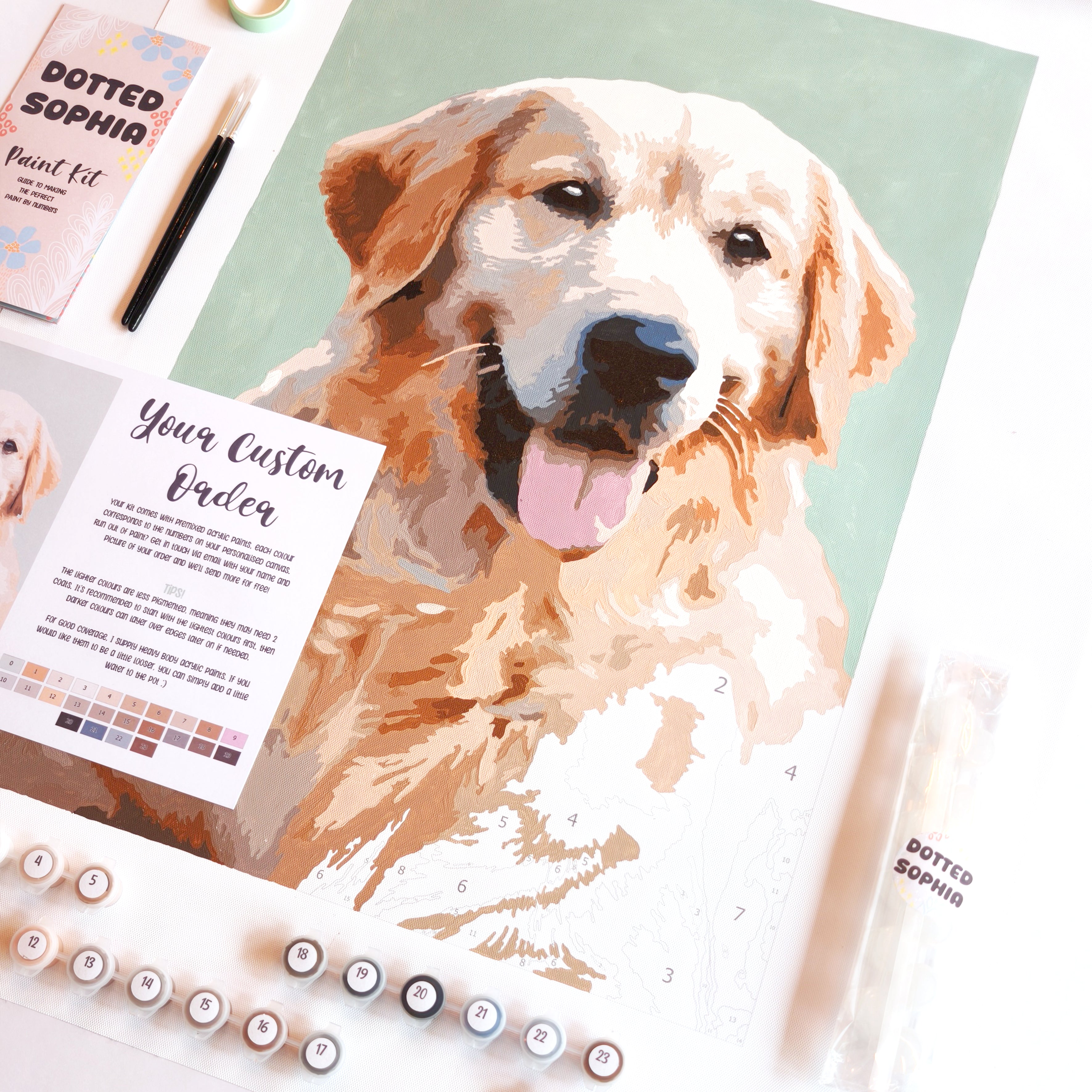 Personalised Pet Portrait - Paint by Number Kit